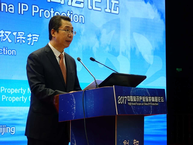 國家知識產(chǎn)權(quán)保護(hù)局局長申長雨.jpg